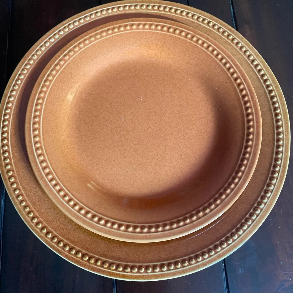 Pier 1 Spice Route Nutmeg Dinner and Salad Plate Set